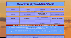 Desktop Screenshot of gbphotodidactical.com